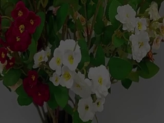 Simulasi Bunga Mawar Perbatasan silang Multi kepala Simulasi Bunga Bunga buatan Bunga pernikahan Dekorasi