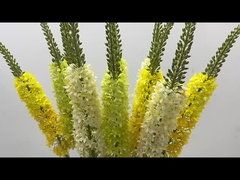 Dekorasi Fox Tail Rumput Simulasi Bunga Rumah Ruang tamu Ponytail Flower Flying Swallow Rumput Fl