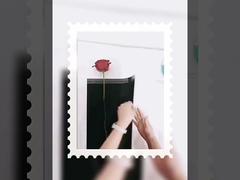 Dewi tunggal bunga kecil kemasan transparan opp film tahan air dibungkus kertas bunga diy mate