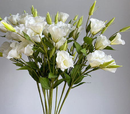 Harga yang bagus 3 buah bunga Campanula simulasi, hiasan rumah, bunga sutra, alat foto, panduan jalan pernikahan, pemandangan, karangan bunga palsu on line