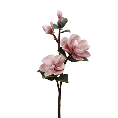 Beli Simulasi lintas batas EVA busa magnolia rumah tangga interior dekorasi bunga palsu sentuhan bunga magnolia simulasi online manufacture