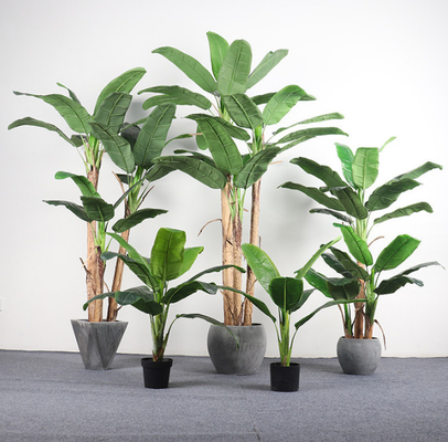 Harga yang bagus Daun Besar Daun Cemara Buatan Tanaman Lantai Japonica on line