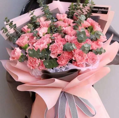 Harga yang bagus Grosir kertas bungkus bunga, karangan bunga, bola gelembung, kertas dekoratif korea vegetarian, bahan kemasan bunga semi-transparan matte waterproof on line