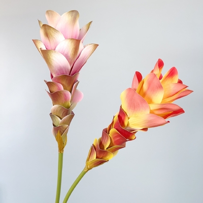 Harga yang bagus Simulasi Bunga, Bunga Jahe, Bunga Lotus, Pencetakan 3D, Bunga Tekstur, Dekorasi Rumah, Dekorasi Ruang Model, Perlengkapan Dekorasi Pernikahan, Buket on line