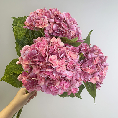 Harga yang bagus Bunga hortensia biomimetik, bunga simulasi, sentuhan pelembab, karangan bunga hortensia, dekorasi meja makan ruang tamu, dekorasi bunga pernikahan on line
