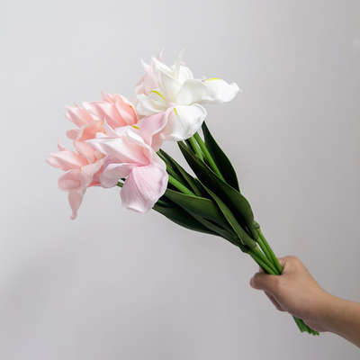 Harga yang bagus Bunga simulasi, bahan Alice PU, hiasan bunga iris, furnitur, bunga palsu, perdagangan luar negeri, penataan bunga, sentuhan tangan, bunga bunga on line
